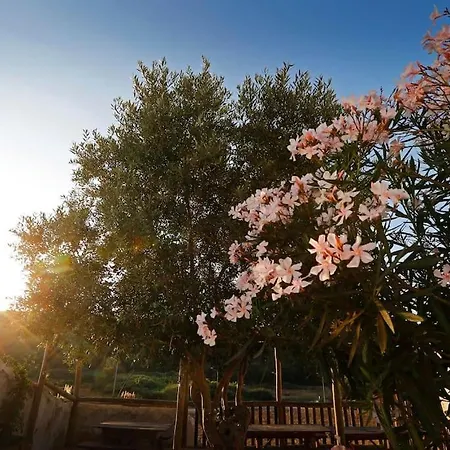 בית נופש Casa Amado, Aldeia Da Pedralva
