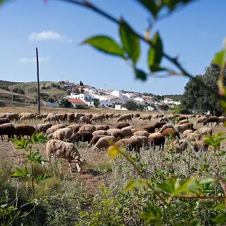 Casa Amado, Aldeia Da Pedralva בית נופש וילה דו ביספו