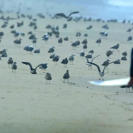 Vakantiehuis Casa Amado, Aldeia Da Pedralva Vila do Bispo