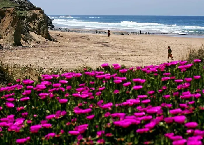 Casa Amado, Aldeia Da Pedralva ヴィラ・ド・ビスポ
