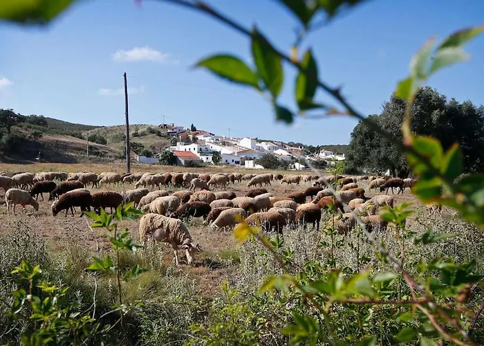 Casa Amado, Aldeia Da Pedralva 別荘 ヴィラ・ド・ビスポ