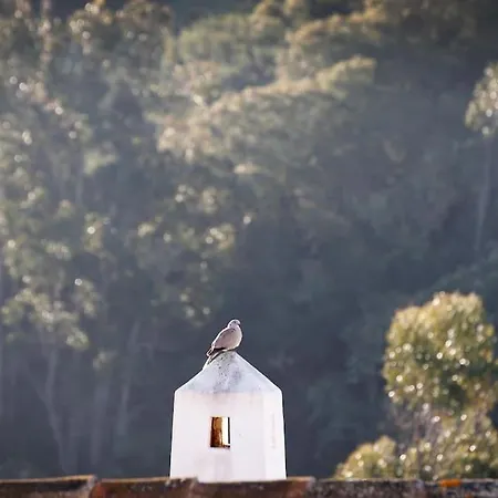 Casa Amado, Aldeia Da Pedralva Tatil Evi