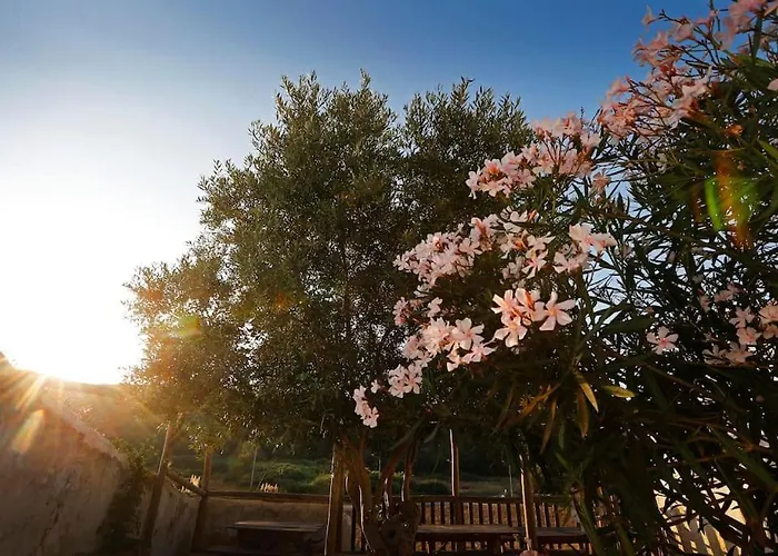 Semesterbostad Casa Amado, Aldeia Da Pedralva