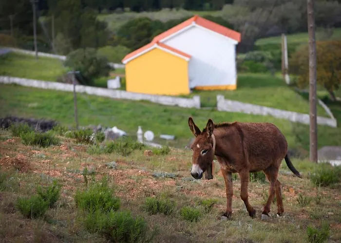 Casa Amado, Aldeia Da Pedralva * Vila do Bispo