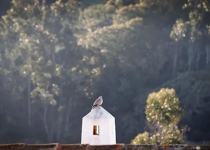 Casa Amado, Aldeia Da Pedralva Semesterbostad