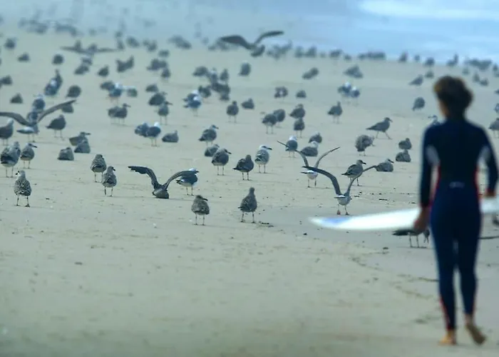 Semesterbostad Casa Amado, Aldeia Da Pedralva Vila do Bispo